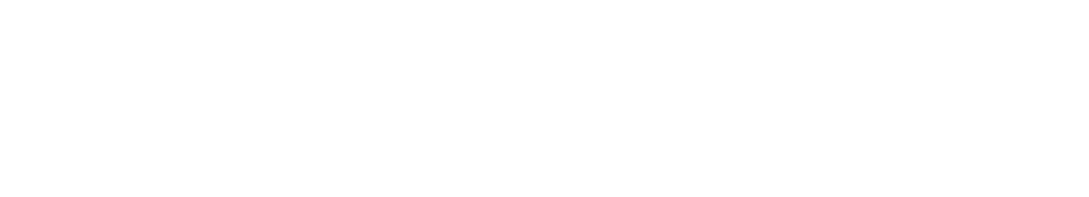 Rapid logo